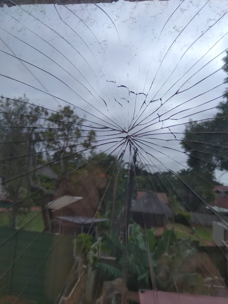 birdstrike